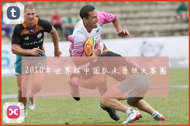 2010年世界杯中国队未晋级决赛圈