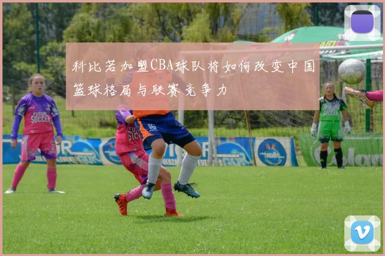 科比若加盟CBA球队将如何改变中国篮球格局与联赛竞争力