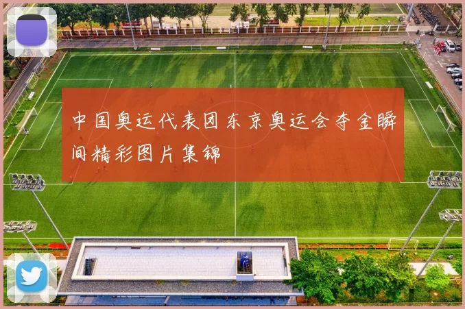 中国奥运代表团东京奥运会夺金瞬间精彩图片集锦