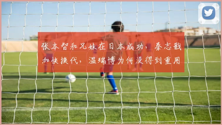 张本智和兄妹在日本成功，秦志戬加快换代，温瑞博为何没得到重用