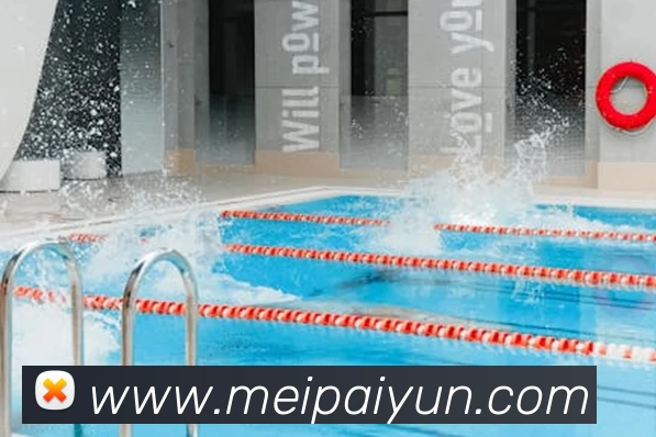 App Interface Preview